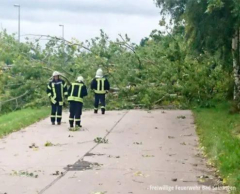 Baumsperre wurde beräumt!