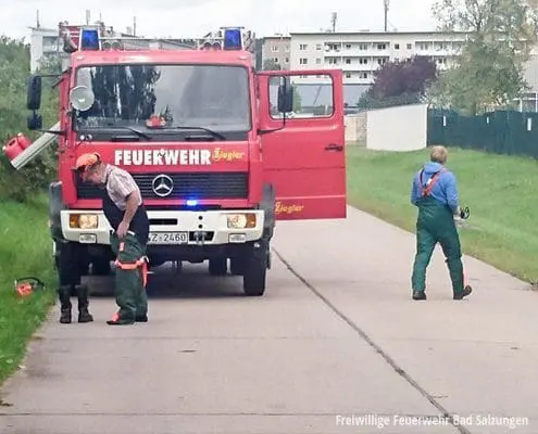 Baumsperre wurde beräumt!