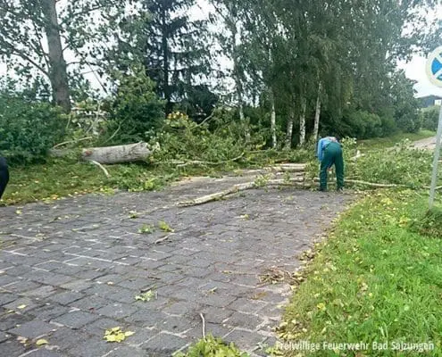 Baumsperre wurde beräumt!
