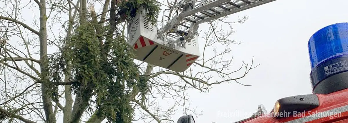 Feuerwehreinsätze Sturm "Sabine" in Bad Salzungen