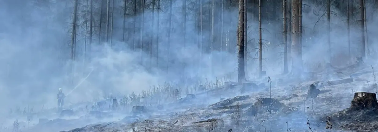 Waldbrand Hohleborn