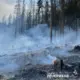 Waldbrand Hohleborn