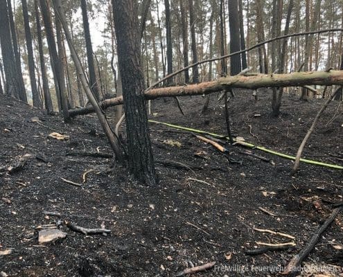 Einsatzzug II WAK beim Waldbrand in Plaue | Feuerwehr Bad Salzungen