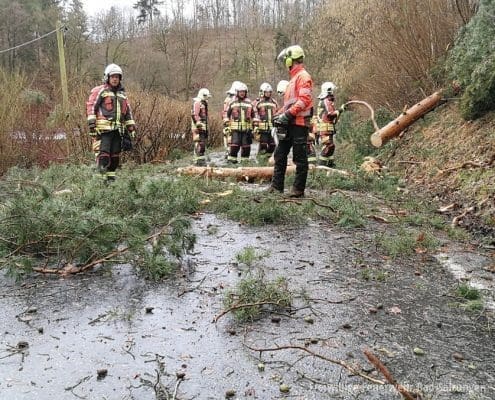 Feuerwehreinsätze Sturm "Sabine" in Bad Salzungen