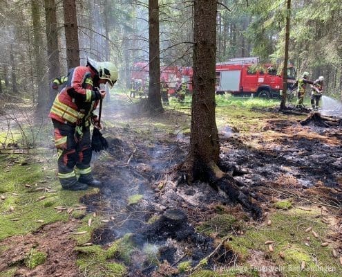Flächenbrand im Langenfleder Wald - Feuer rechtzeitig bemerkt!