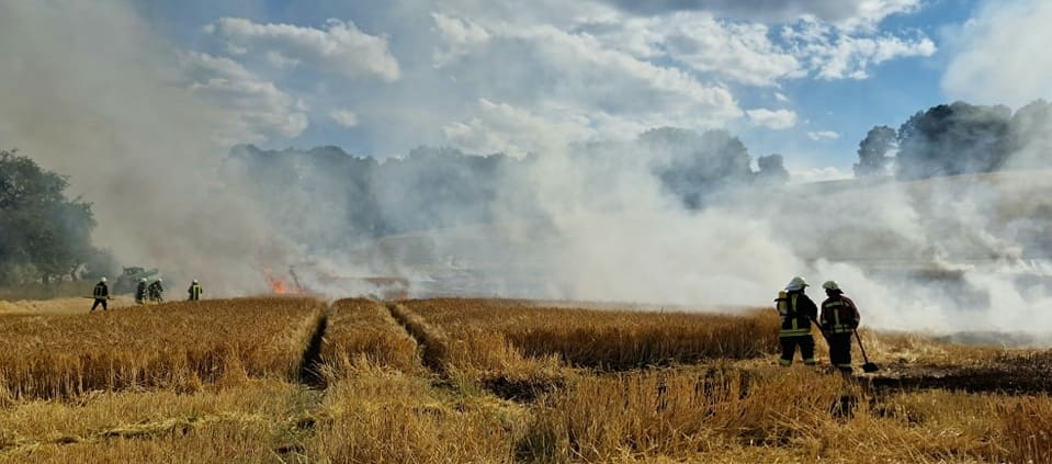Flächenbrand in Frauensee